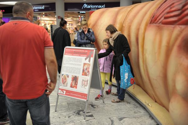 /FITmess-2017-in-der-Millenium-City-i-1