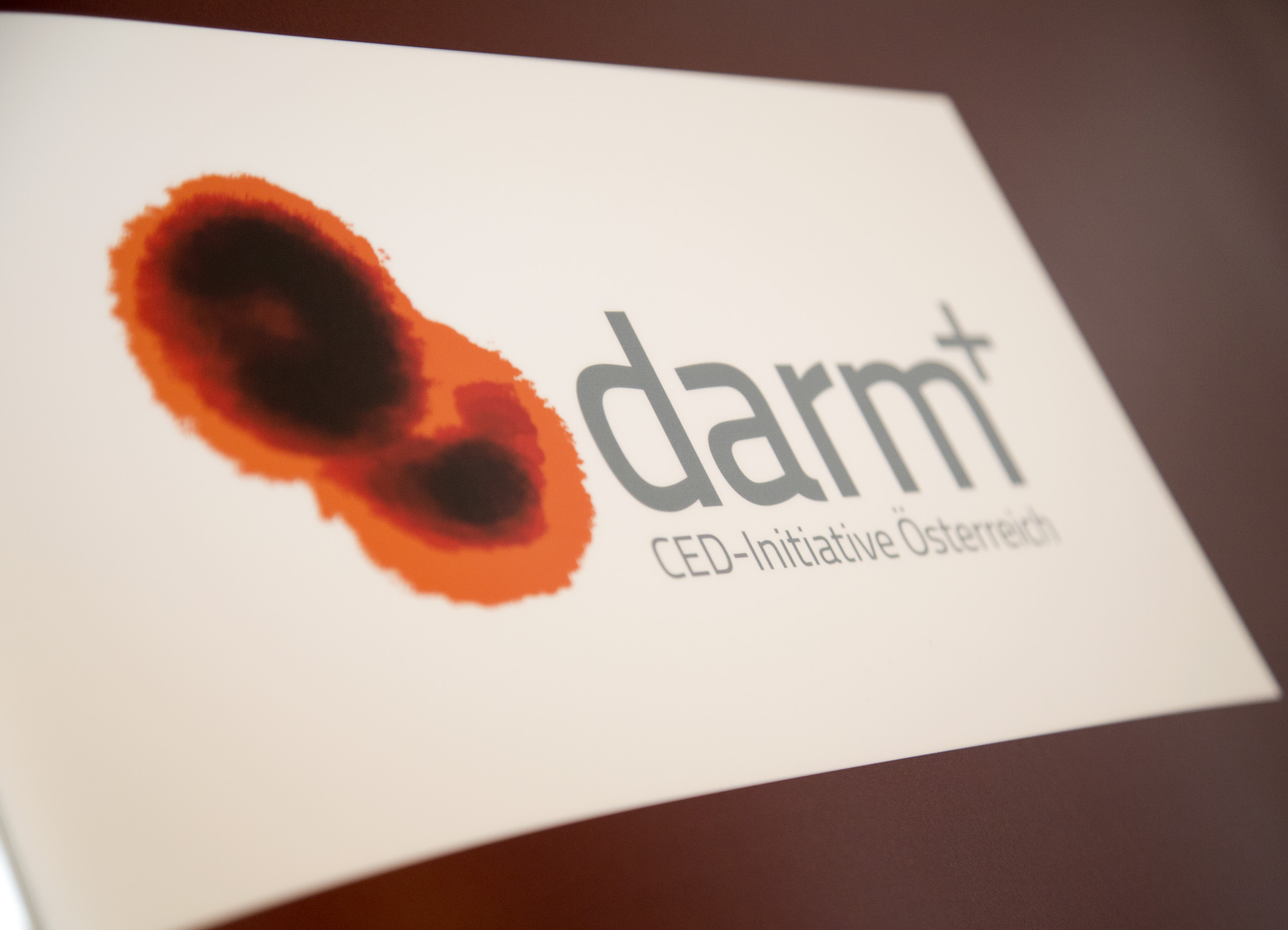 LANGER TAG DES DARMS